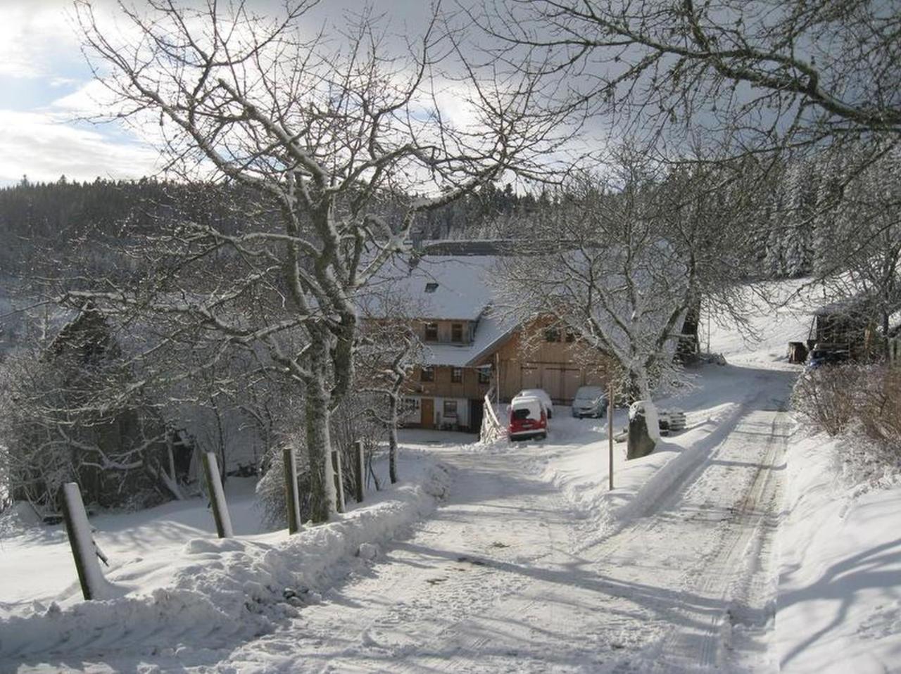 Sigmundenhof Apartment Schonach im Schwarzwald Exterior foto
