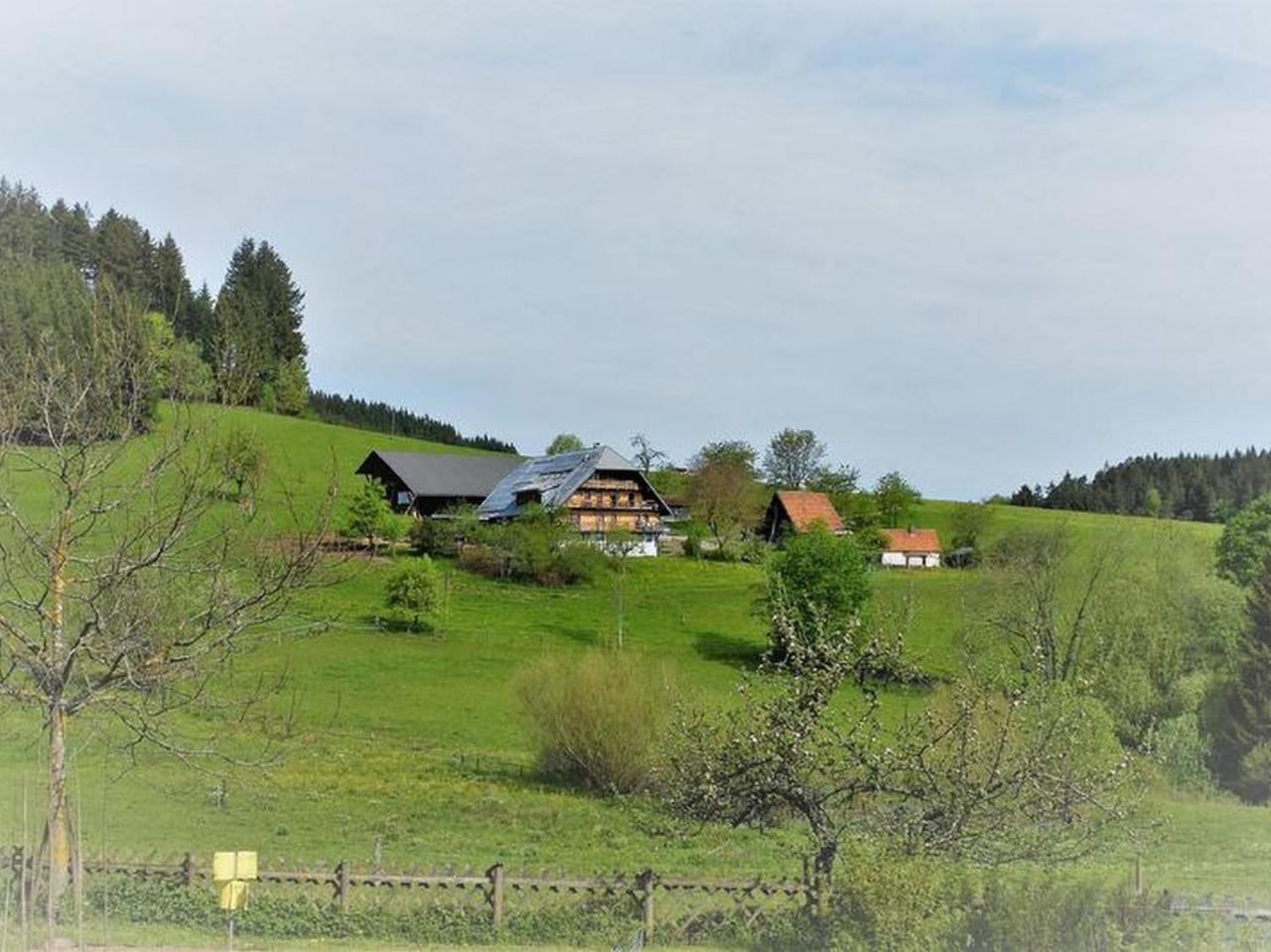 Sigmundenhof Apartment Schonach im Schwarzwald Exterior foto